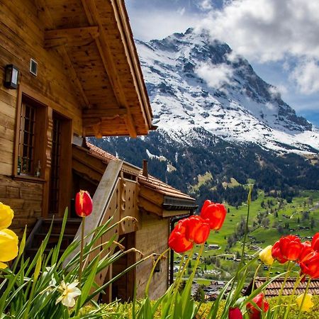 Chalet Caramelle กรินเดลวัลด์ ภายนอก รูปภาพ