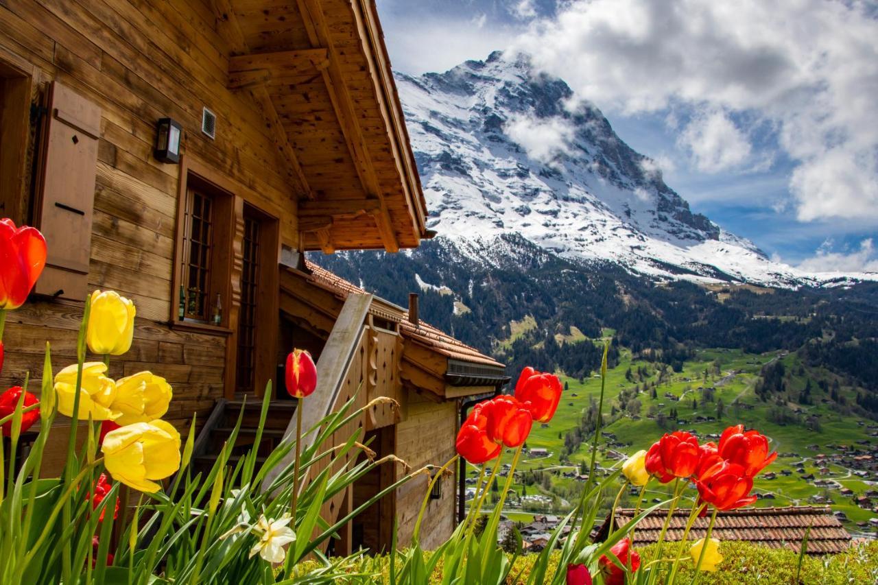 Chalet Caramelle กรินเดลวัลด์ ภายนอก รูปภาพ