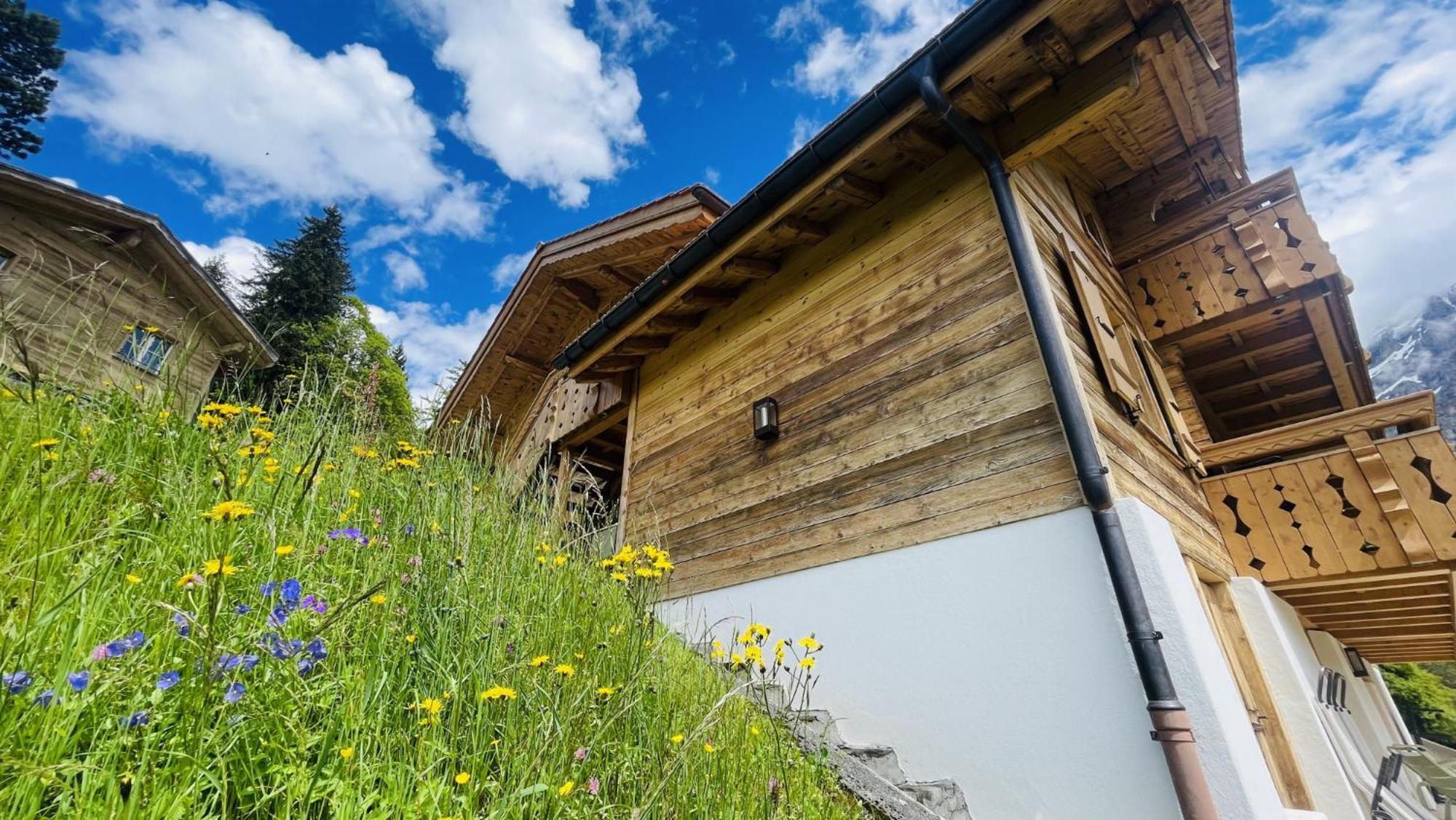Chalet Caramelle กรินเดลวัลด์ ภายนอก รูปภาพ